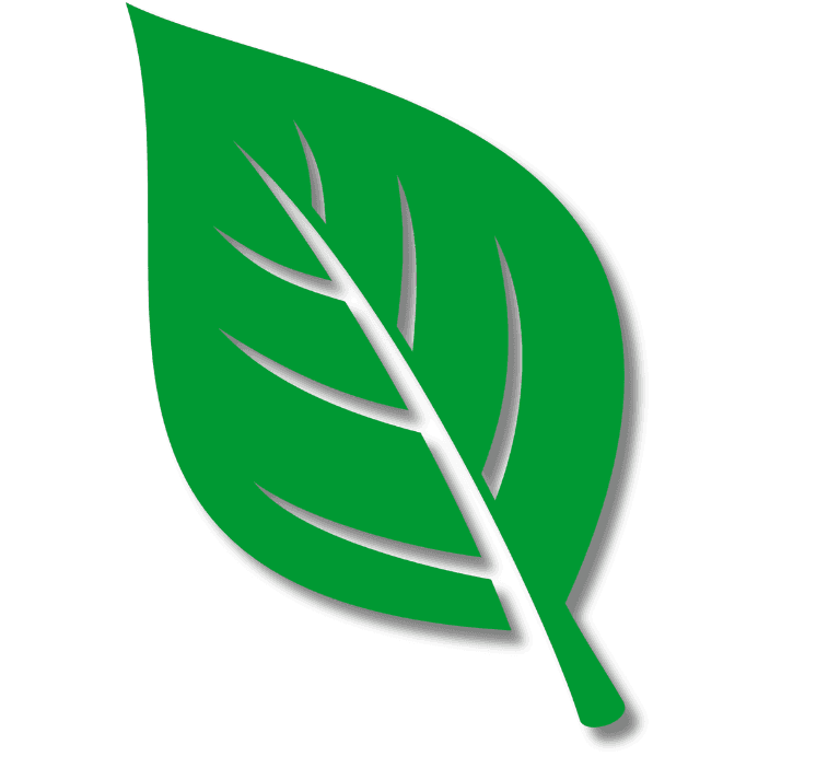 Daun