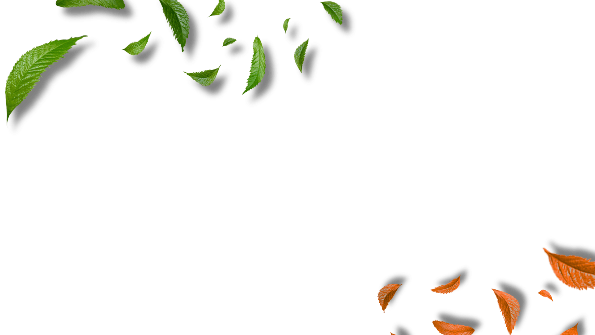 Overlay Daun